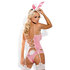 Bunny Suit 4-delig Kostuum_